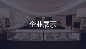 企业展示